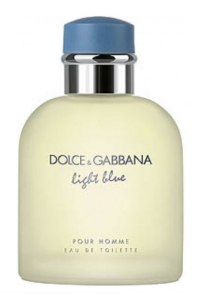 Dolce & Gabbana Light Blue Pour Homme 125 ml flacon EDT pre mužov Obrázok pre Dolce & Gabbana Light Blue Pour Homme 125 ml flacon EDT pre mužov